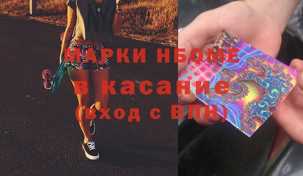 хмурый Инта