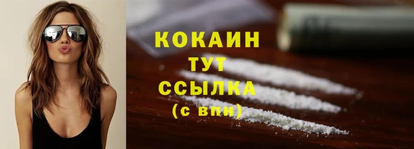 хмурый Инта