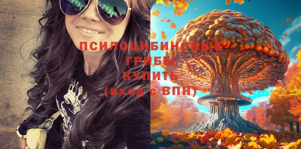 альфа пвп Каменногорск