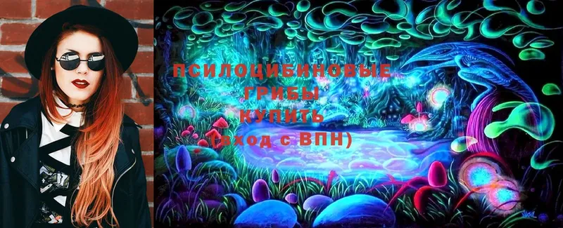 Псилоцибиновые грибы MAGIC MUSHROOMS  даркнет сайт  Братск 