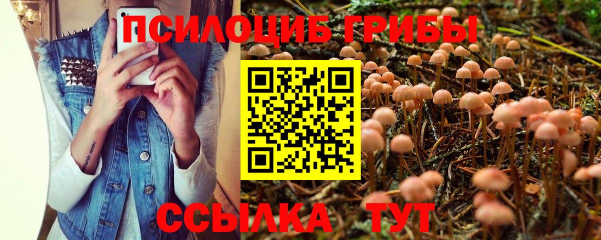 Братск  Псилоцибиновые грибы Magic Shrooms  Вход с VPN 