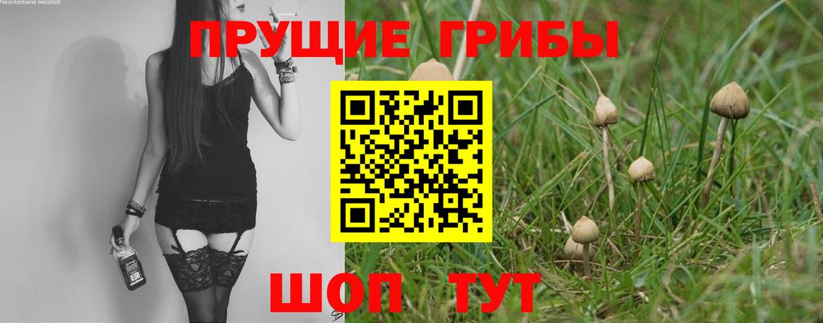 Псилоцибиновые грибы Magic Shrooms Братск