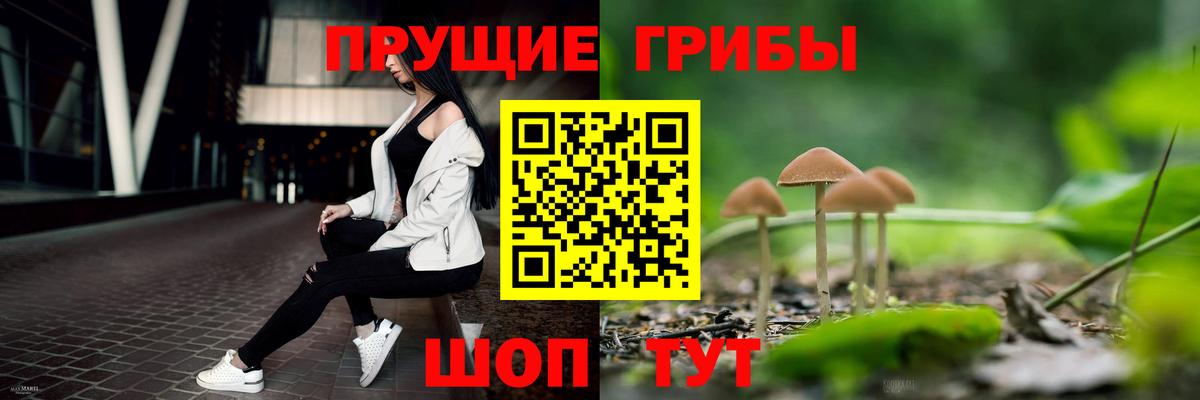 Псилоцибиновые грибы Magic Shrooms  Галлюциногенные грибы мухоморы  Братск 